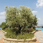 Il Casino Numero 5 Lajatico